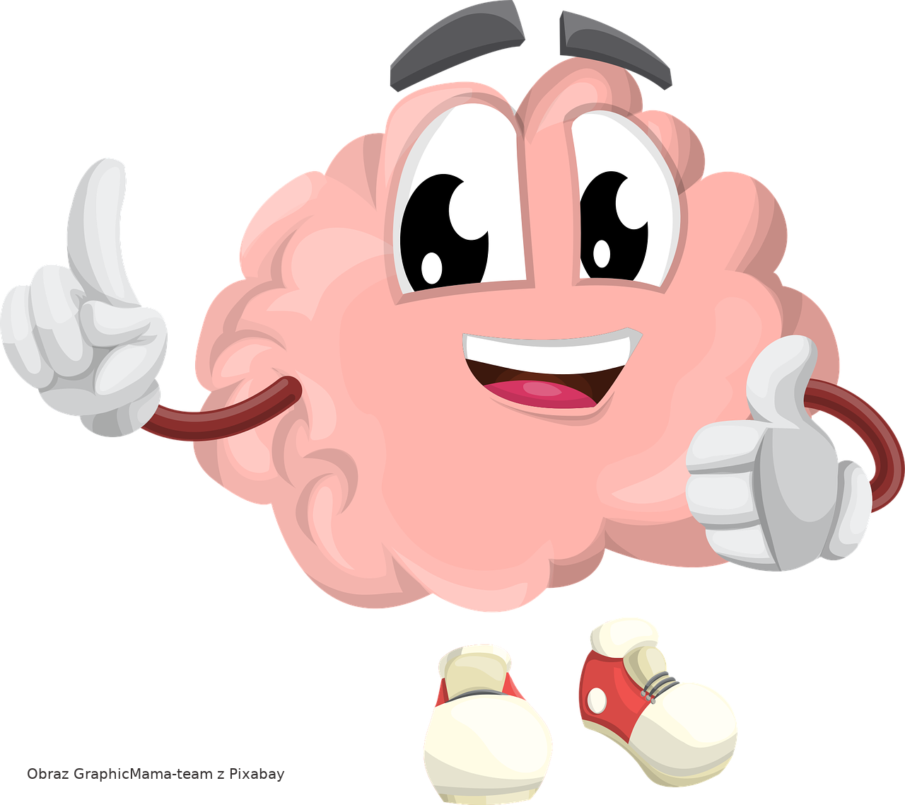 brain 1773885 1280